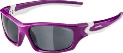 Alpina Flexxy Teen Kindersonnenbrille - Berry-white Gloss