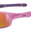 Uvex Sportstyle 507 Kinder-Sonnenbrille - Pink Purple/mirror Red 1 Uvex Sportstyle 507 Kinder-Sonnenbrille - Pink Purple/mirror Red -Sportausrüstung S5338666616 Main